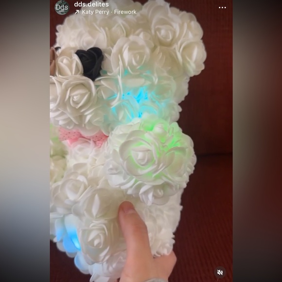Light up Rose bear - Picture 2 of 3